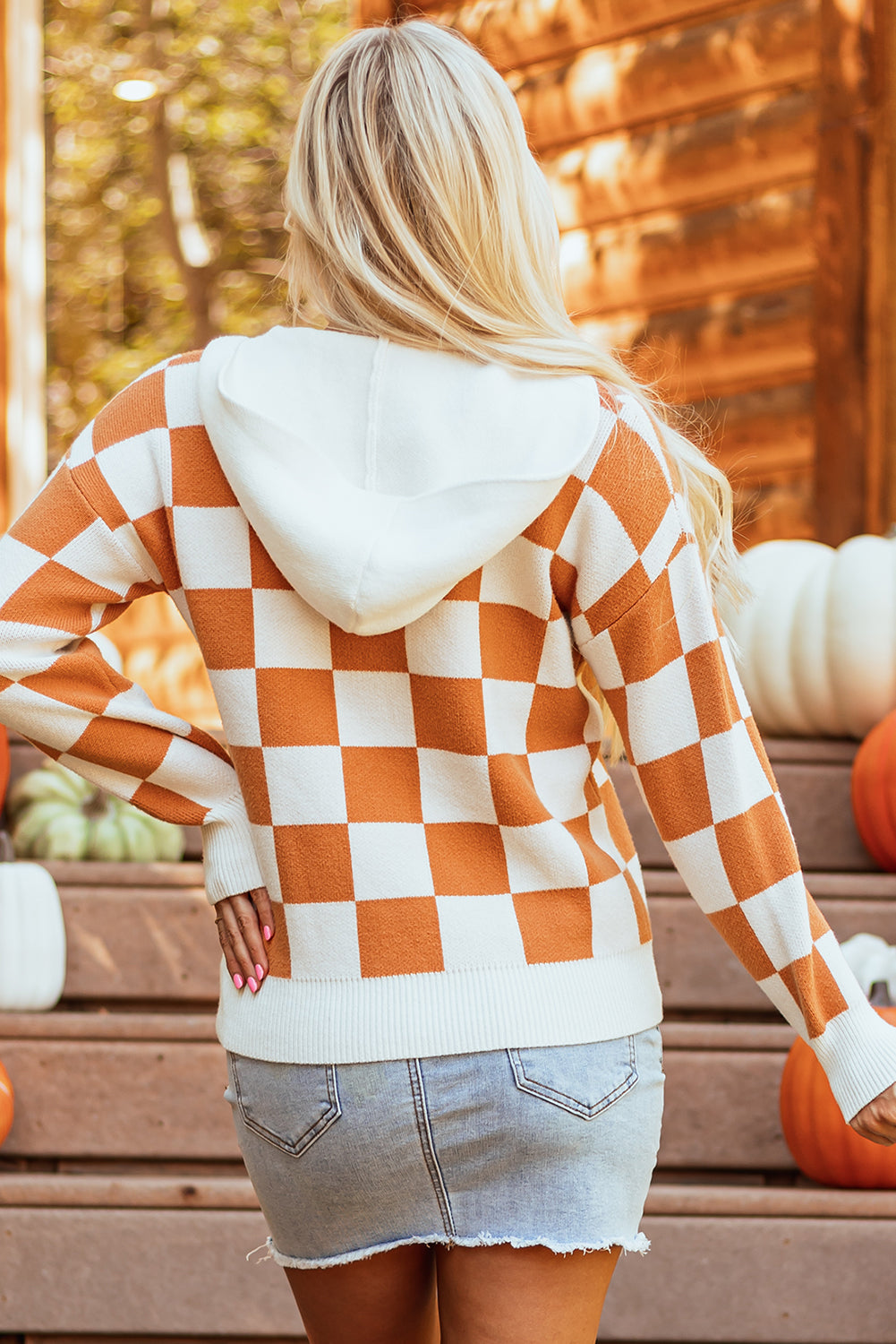 Checkered Hooded Sweater