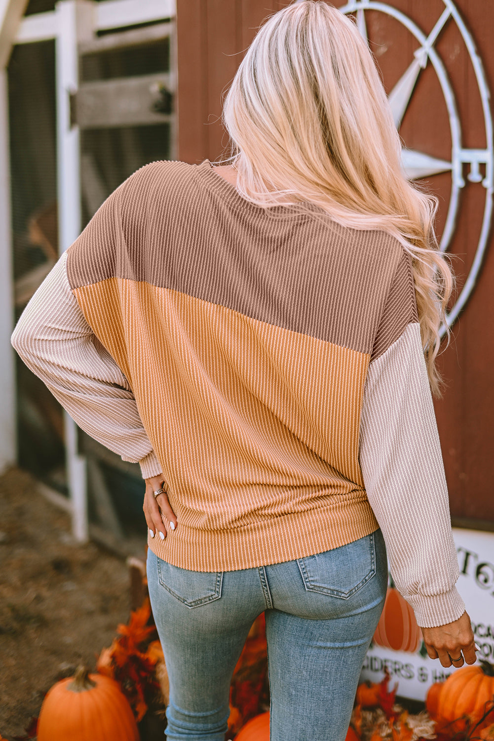 Color Block Ribbed Top